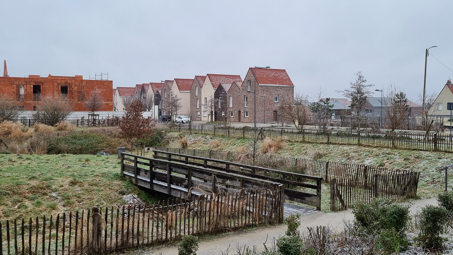 Illustration - Zac Renancourt