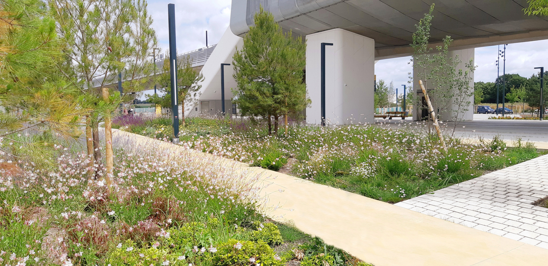 Illustration - En juillet 2022