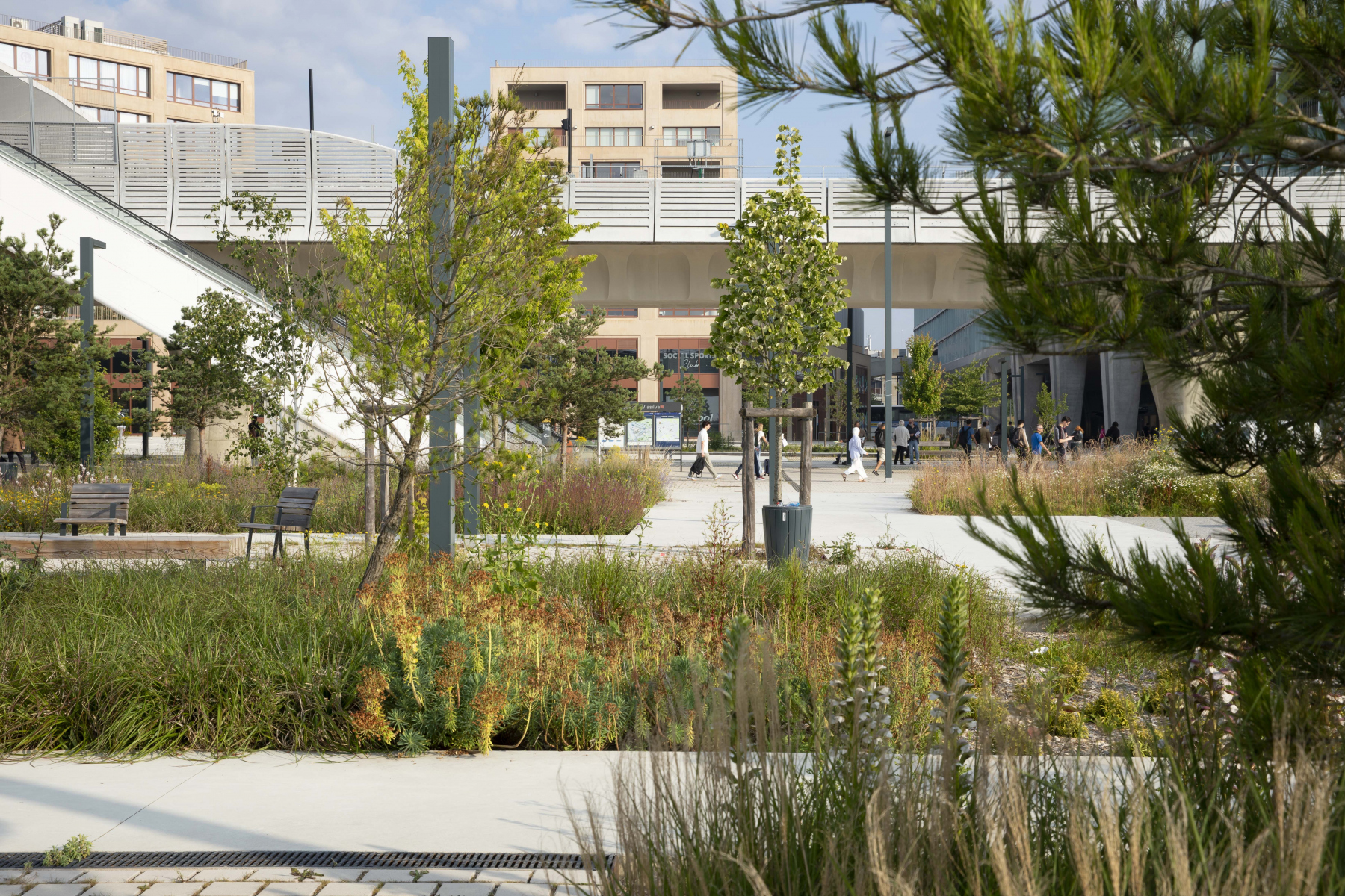 Illustration - Le côté Sud de la place et ces espaces plantés, en juin 2024