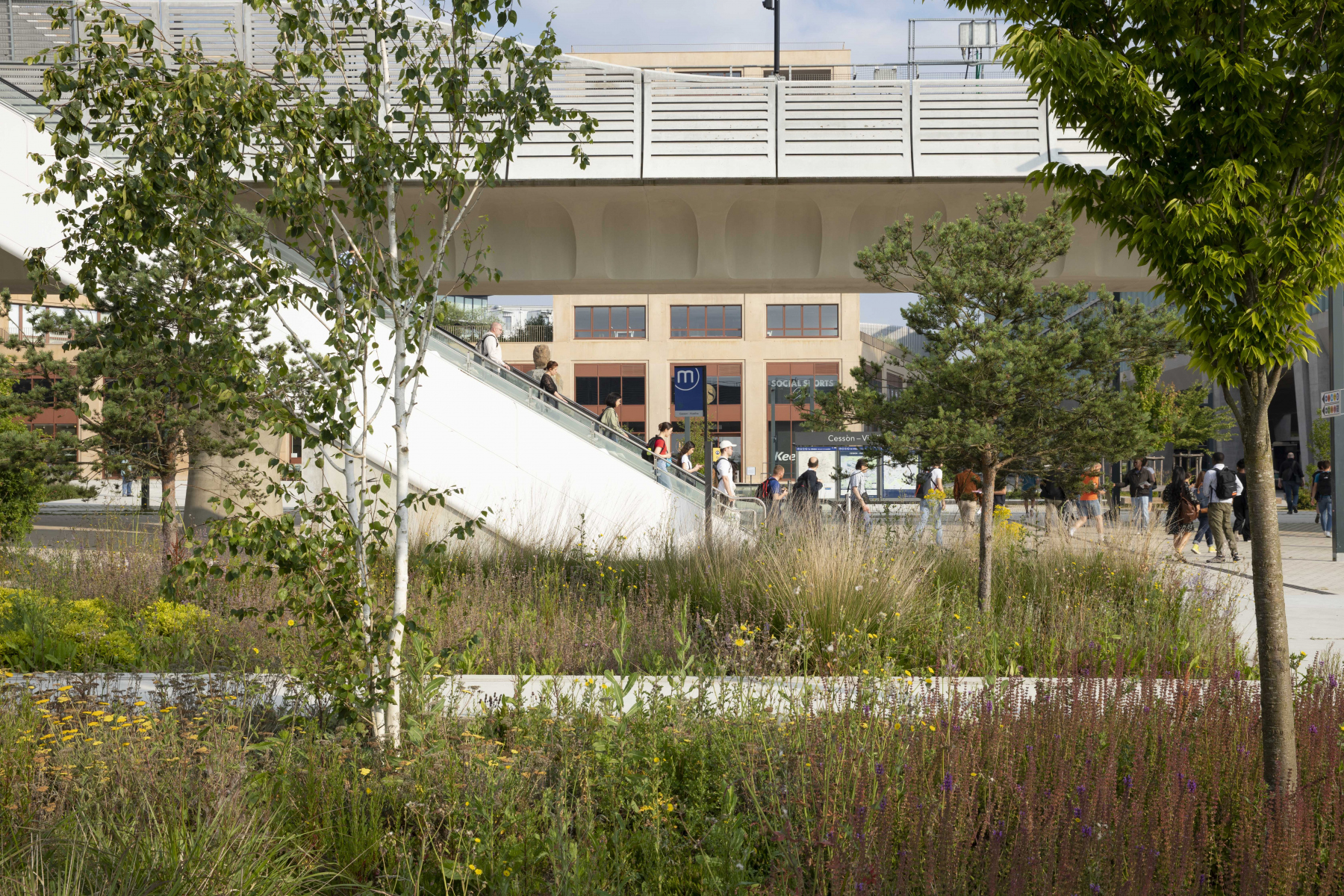 Illustration - Le côté Sud de la place et ces espaces plantés, en juin 2024