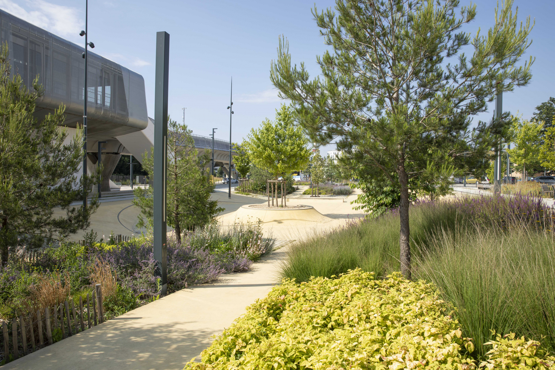 Illustration - Les plantations aux abords du skatepark, en juin 2024
