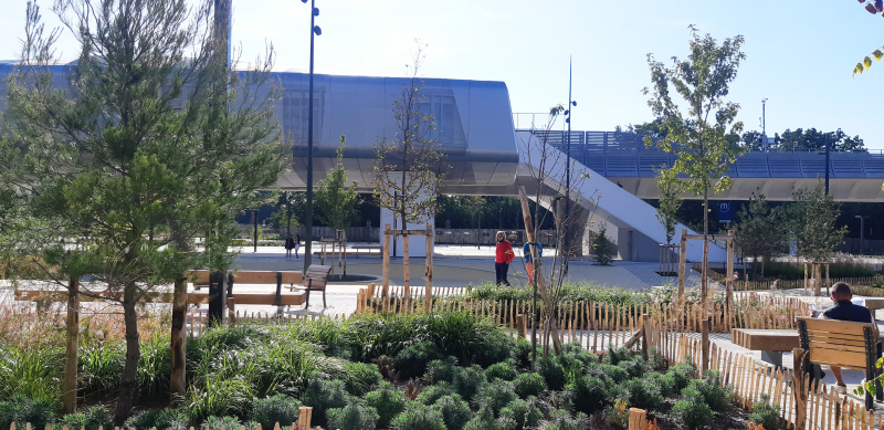 Illustration - La station et le skatepark derrière les premières plantations, en septembre 2022.