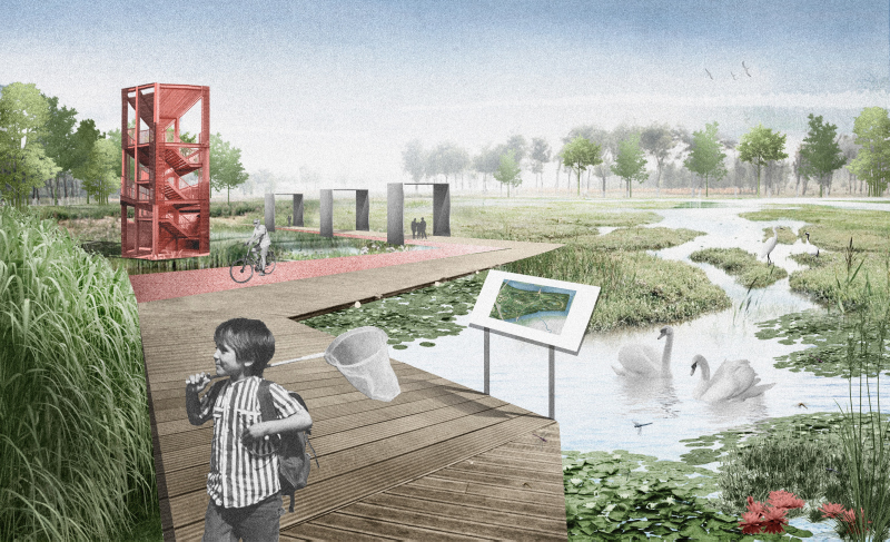 Illustration - Vue des zones écologiques préservées au cœur du parc pédagogique