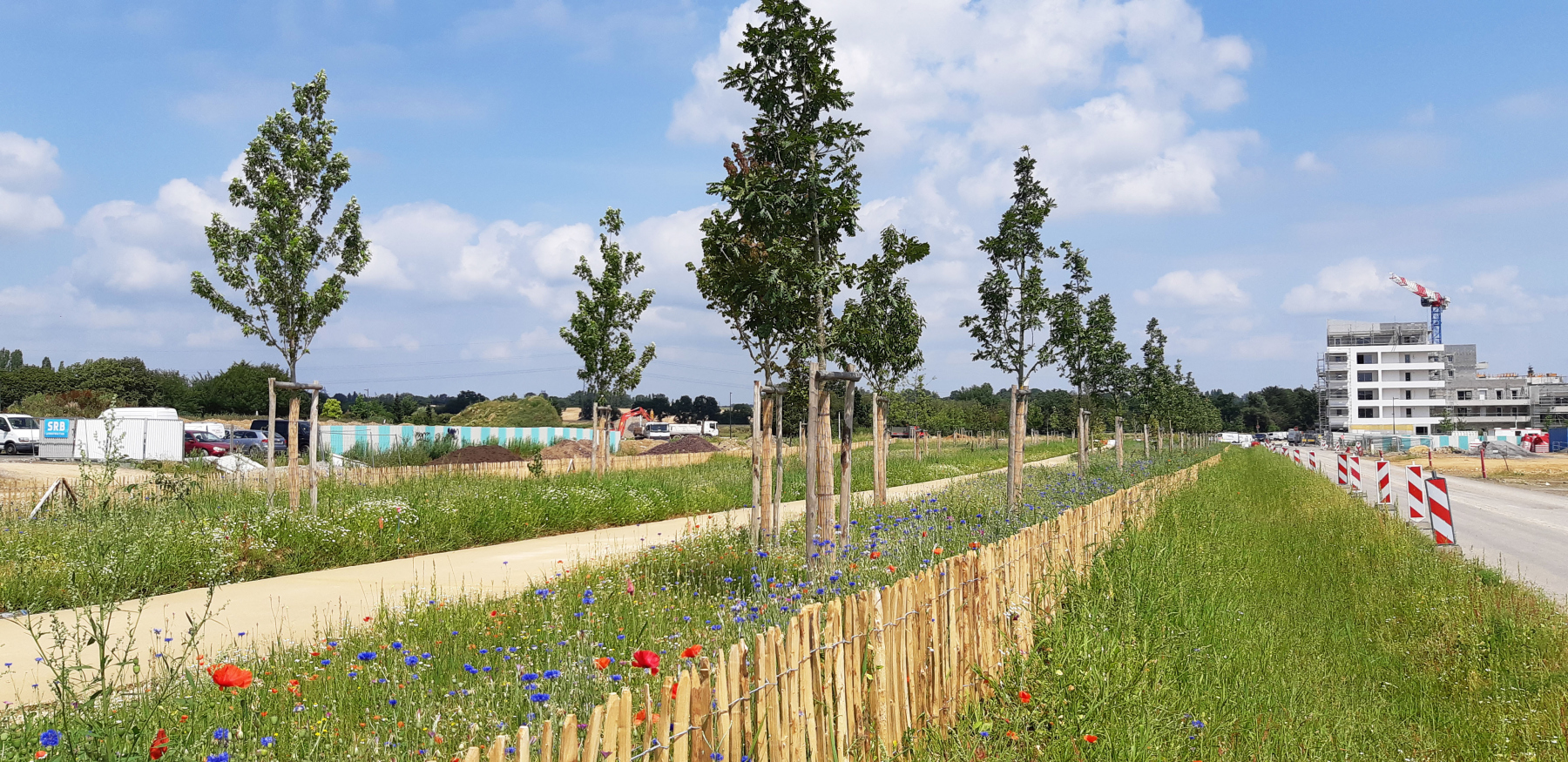 Illustration - Le chemin des Curtiles, en juillet 2021