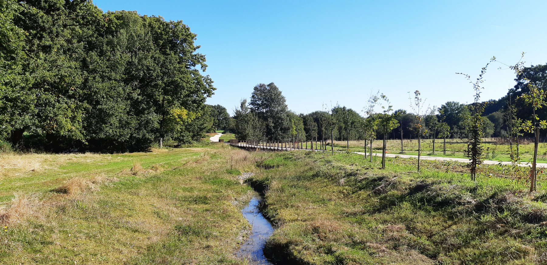 Illustration - Méandrage du ruisseau dans le parc, en octobre 2021