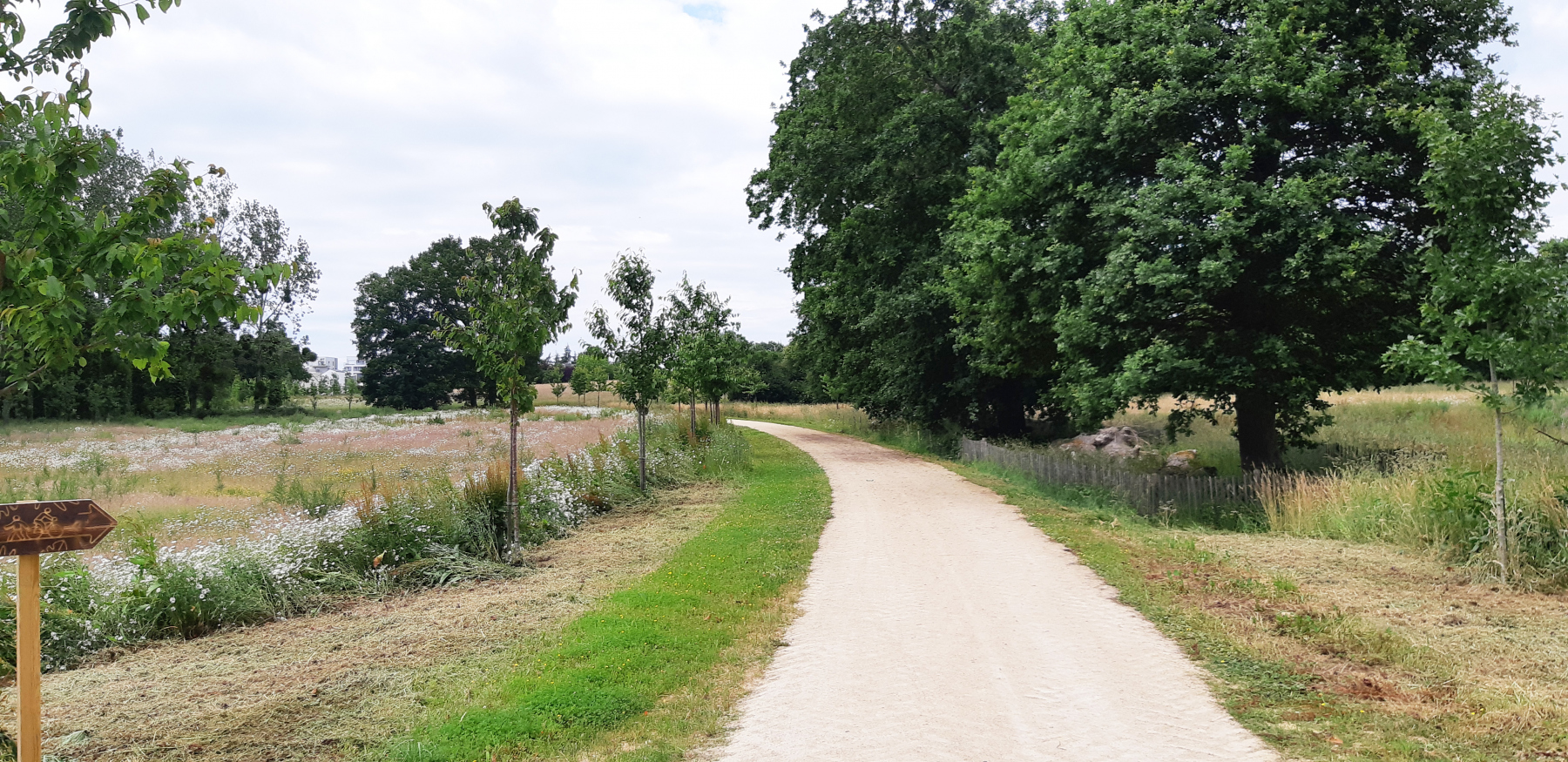 Illustration - Nouveau cheminement dans le parc, en juin 2022