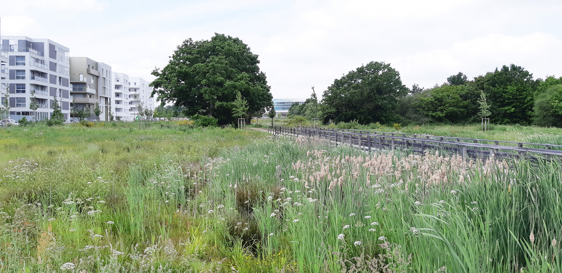 Illustration - Passerelle au-dessus d'un des bassins, en mai 2023. On distingue la parking relais à l'arrière-plan.