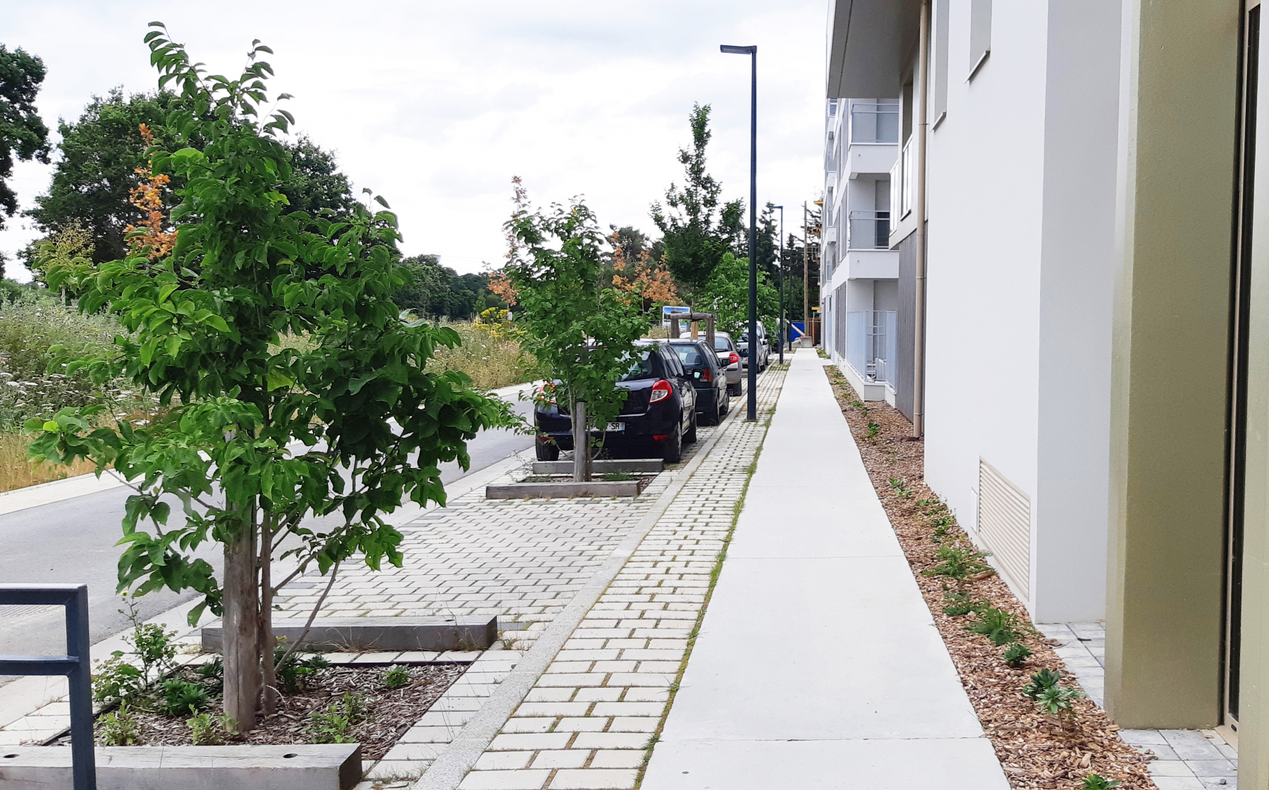 Illustration - La rue des Tusseaux, en juin 2023