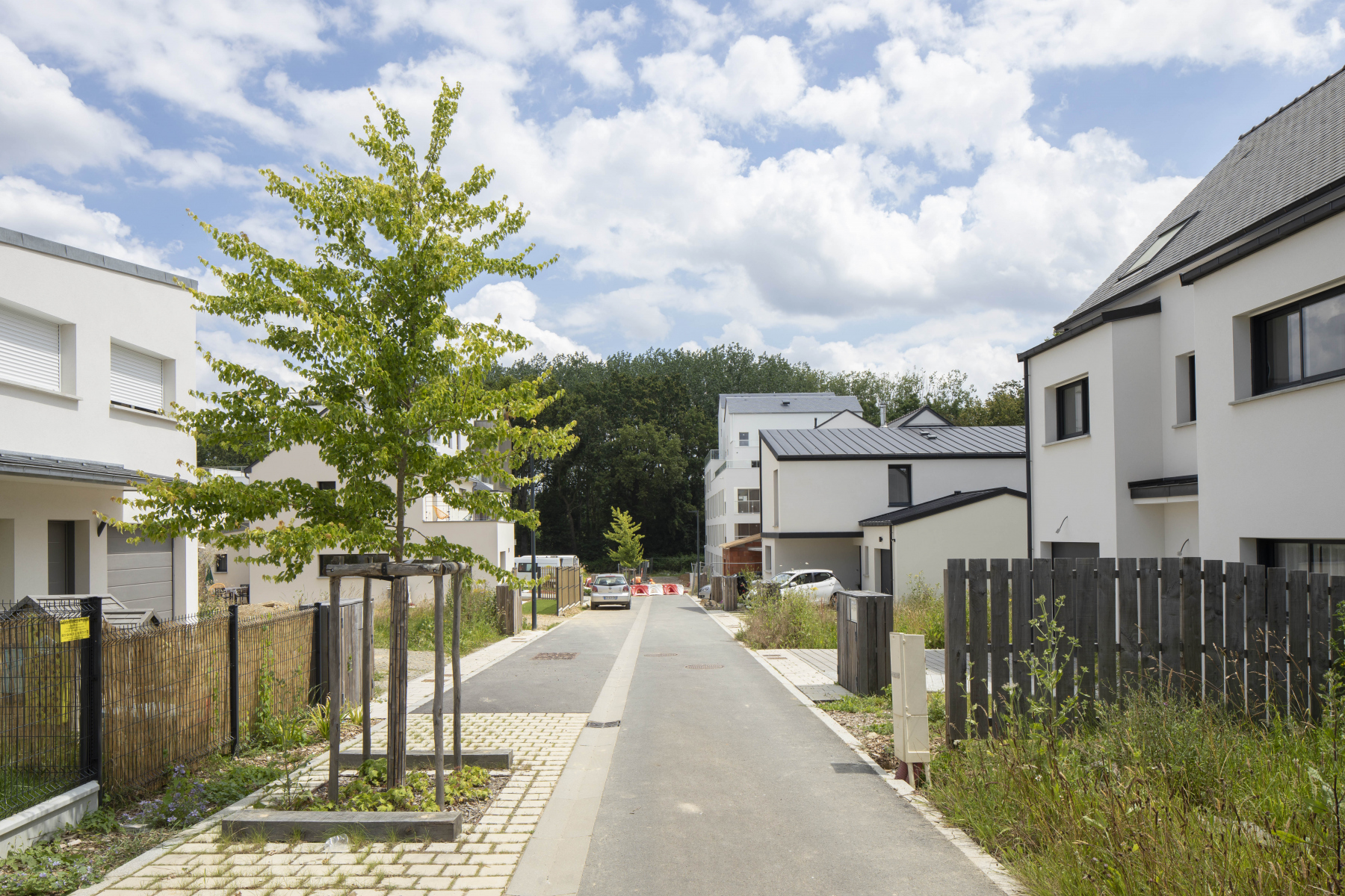 Illustration - Le Venelle des Laurins, en juin 2024