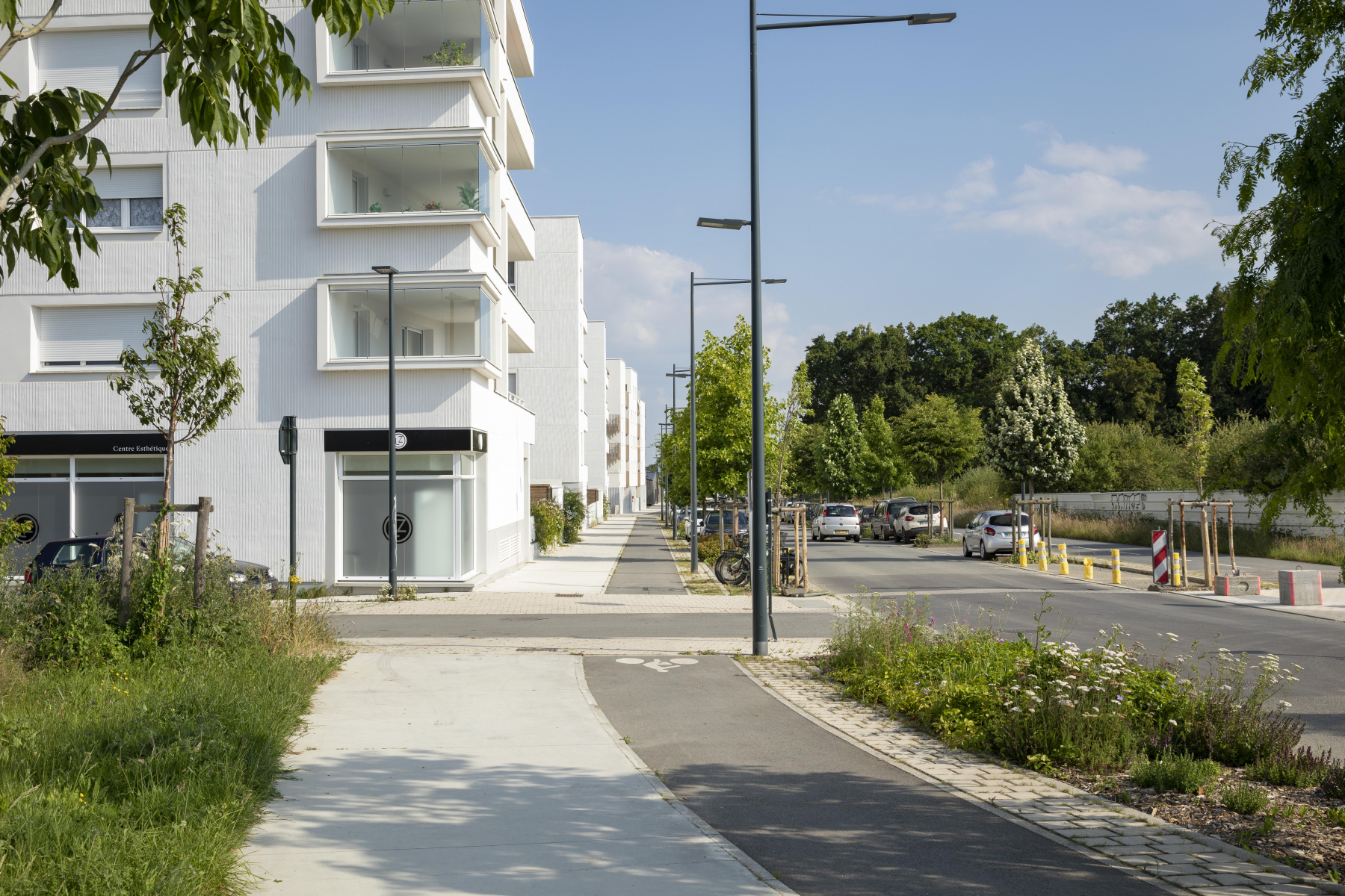 Illustration - L'avenue des Champs Blancs, en juin 2024