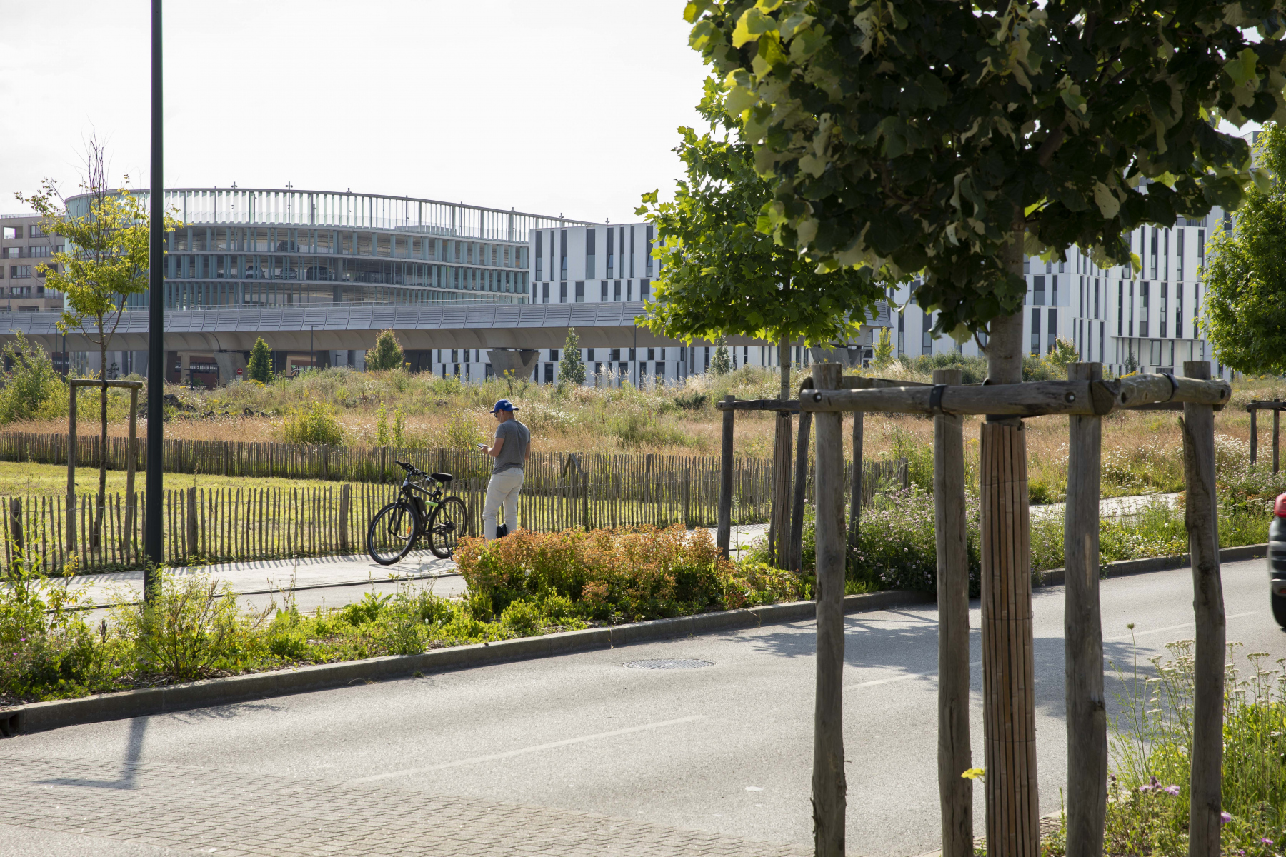 Illustration - L'avenue des Champs Blancs, en juin 2024