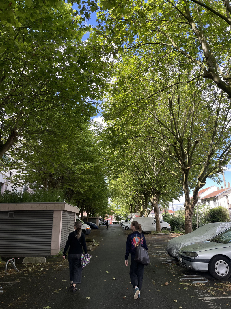 Illustration - Quartier de la Sablière, double alignement de platanes de l’allée des Coquelicots